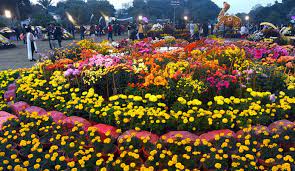 flower show in Jamshedpur