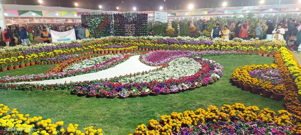 Landscaping at Jamshedpur Flower Show